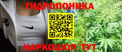 a pvp Кулебаки